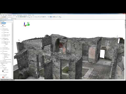 the Swedish Pompeii Project