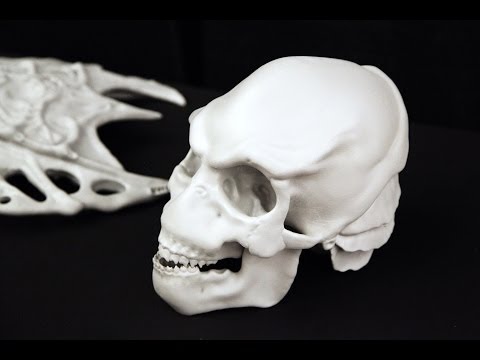 Bringing Creatures to Life with 3D Printing