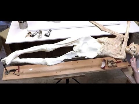 Ötzi Reborn: Discovering the Iceman