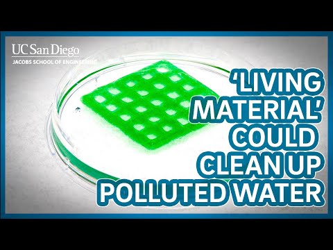 &quot;Living material&quot; offers new way to clean polluted water