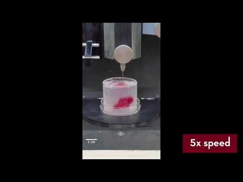 Heart pump 3D bioprinting 5X Speed