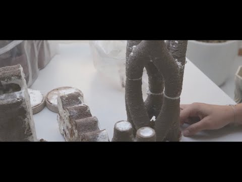 3D printing Mycelium reinforced structures | MyCera