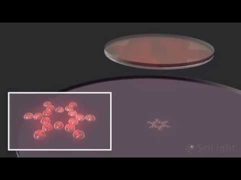 Impression laser 4D de cellules biologiques