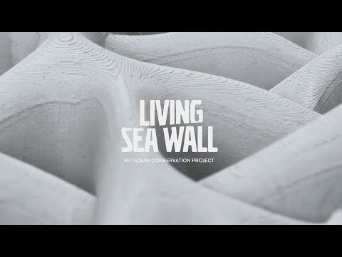Living Seawall – re-thinking sustainability