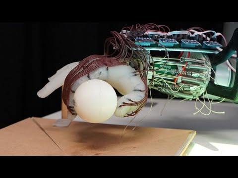 Robot hand learns how not to drop the ball