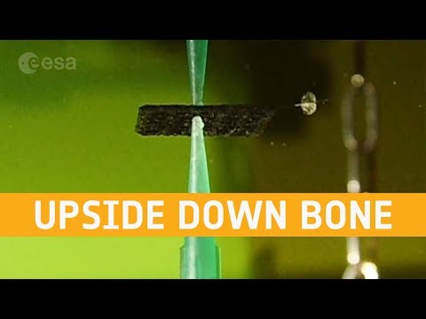 3D printing bone upside down