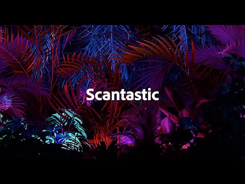 #Scantastic | Adobe MAX Sneaks 2020