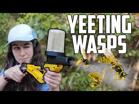 I Built a Wasp Launcher