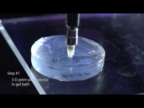 FRESH Bioprinting Process Explained