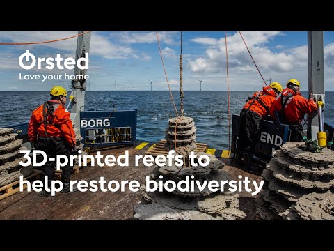 3D-Printed Reefs to Help Restore Marine Biodiversity in Denmark