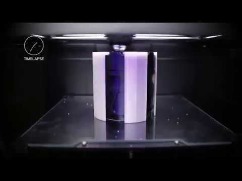 Timelapse of 3D Printing Without Raft on Zortrax M300 Dual