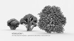 VOXILION III_press release_Ultra High Detail 3D Printing Templates_Broccoli.jpg