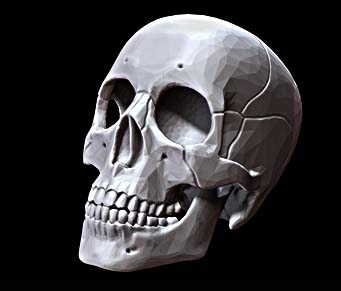 3DK_Skull_K3_Full_Human_1_Basic
