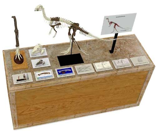 3d-printed-dinosaur-museum-exhibit