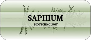 Saphium.green