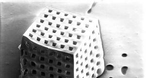 3D-gedruckte Kohlenstoff-Mikrogitter-Architektur bei 150-facher Vergrößerung