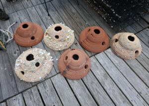3D-gedruckte Kuppeln aus Baggersediment sollen Austernriffe in Alabama fördern