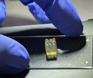 Bioprinter fertigt Nieren- und Lebergewebe auf der ISS