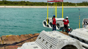3D-gedruckte Riffmodule sollen Miami Beach vor Wellen schützen